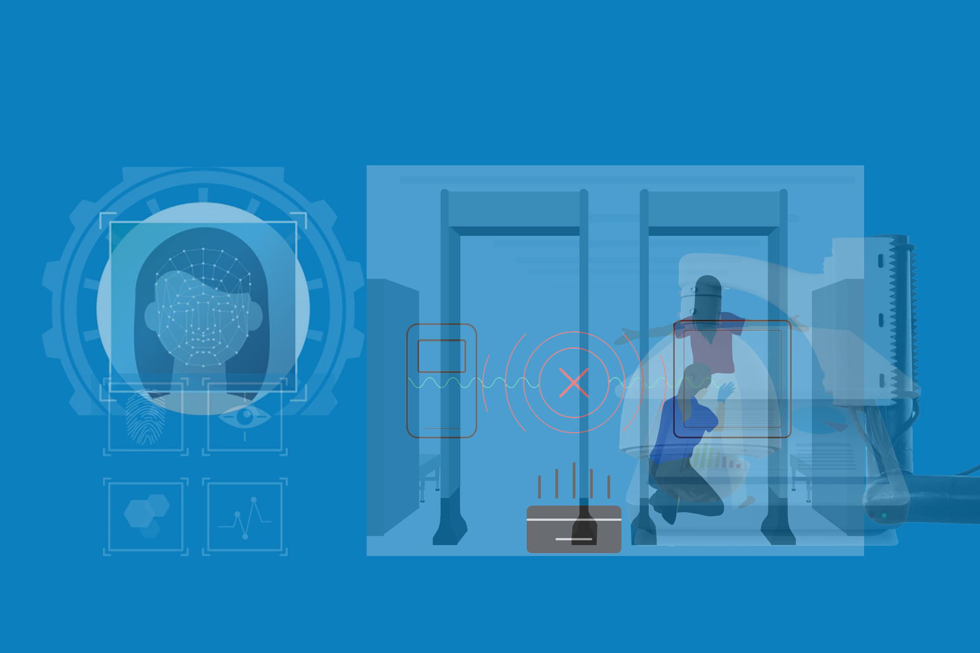 Website Development