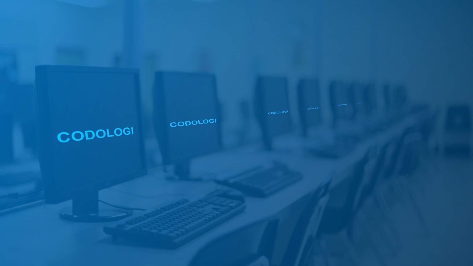 Website Development