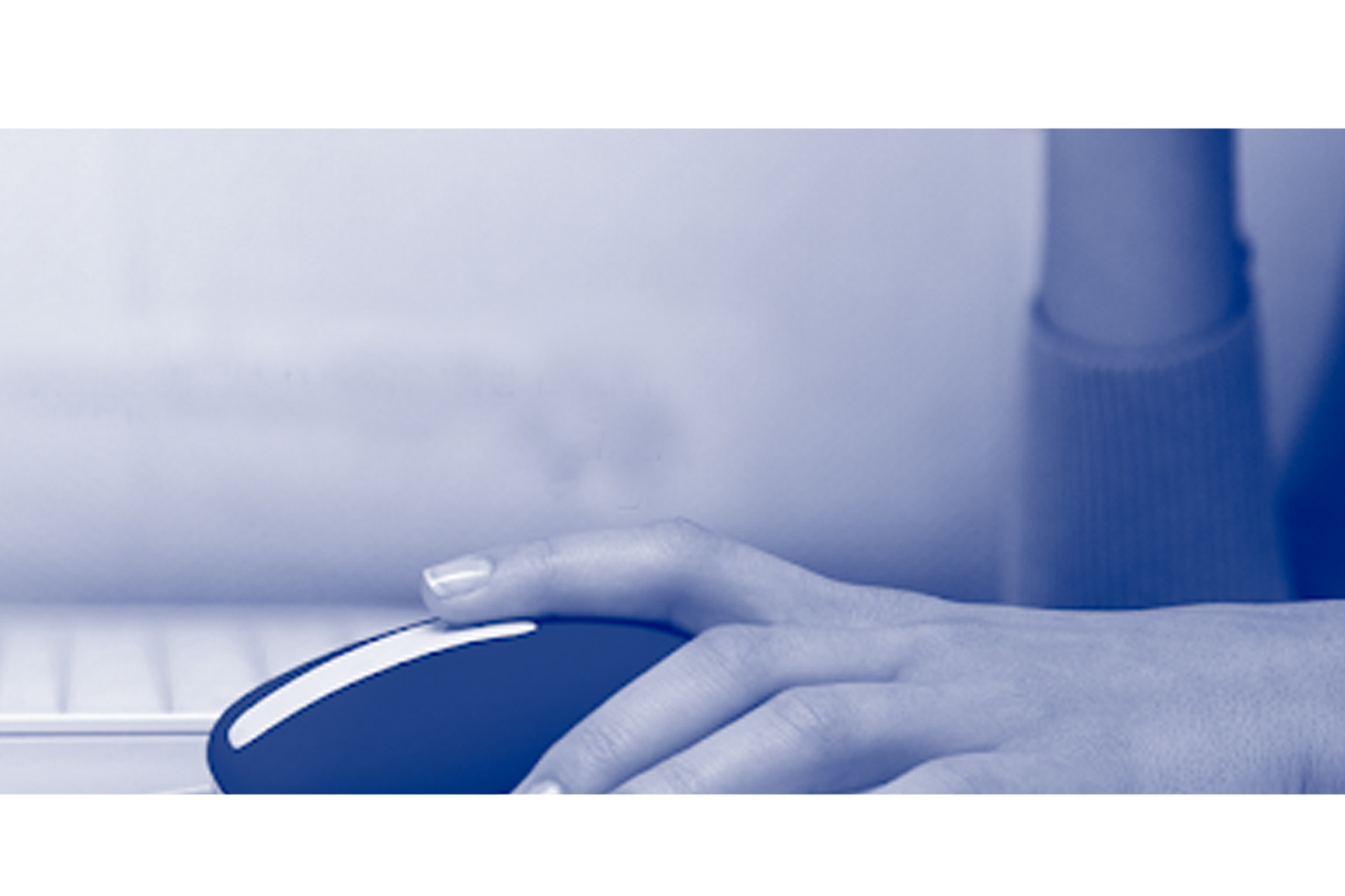 Website Development Website Development